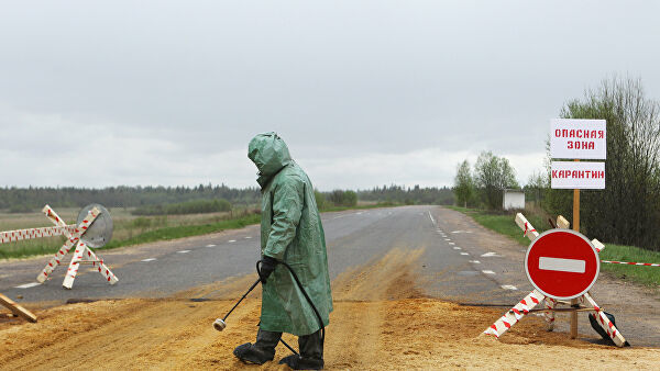 В Роспотребнадзоре оценили угрозу бубонной чумы для России. Фото: РИА Новости