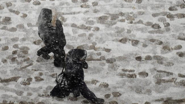 Meteorologii anunţă pentru ziua de mâine ninsori în nordul ţării. Foto: jurnalul.ro
