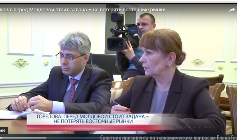 Советник президента по экономическим вопросам Елена Горелова.