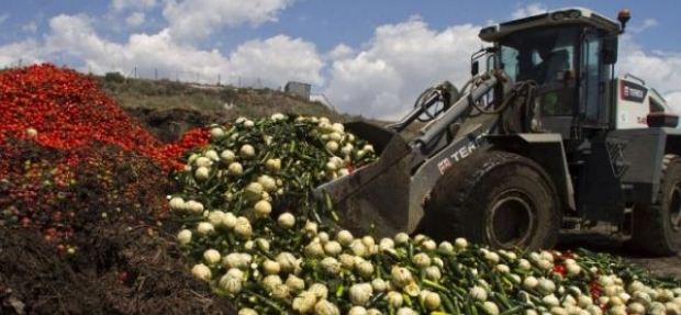 În acelaşi timp, 79 de milioane de cetăţeni UE trăiesc sub limita de sărăcie, iar 16 milioane dintre ei depind de hrana furnizată de organizaţiile caritabile.