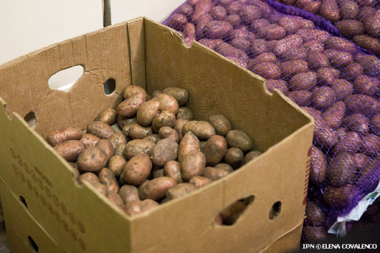 НАБПП обнаруживает в школах и детских садах несоответствующие продукты.