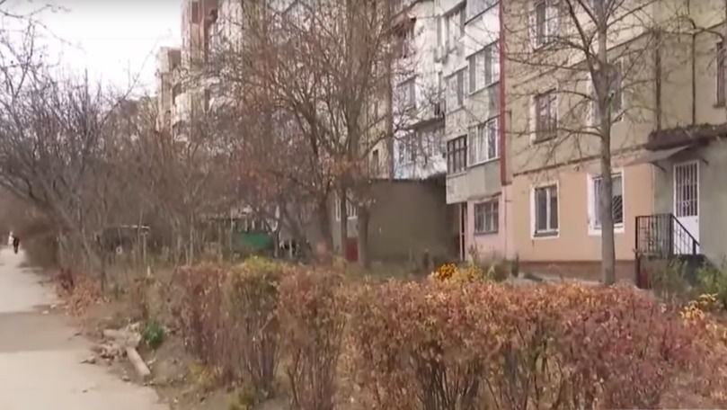 Жители сектора Ботаника недовольны тем, что остались без палисадников.
