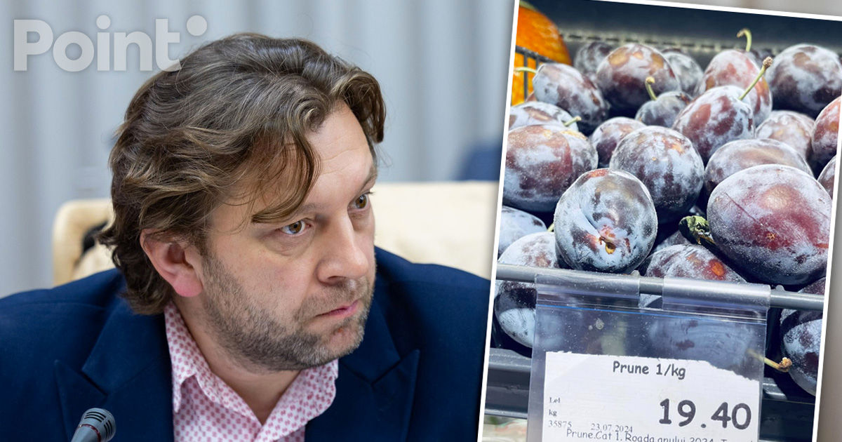 Алайба призывает покупать молдавские сливы: Скоро они появятся в Европе.