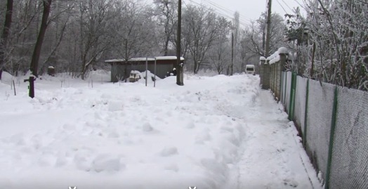 Жильцы пытаются справиться с проблемой собственными силами.