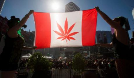 Guvernul de la Ottawa va legaliza canabisul în Canada din data de 1 iulie, 2018. Foto: cbc.ca