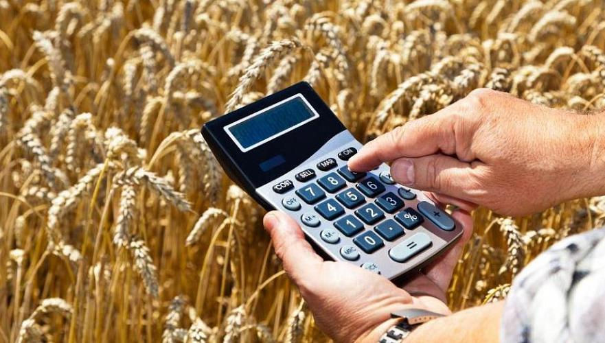 Сельхозпроизводство Молдовы выросло почти на четверть: зерновых - на 80%.