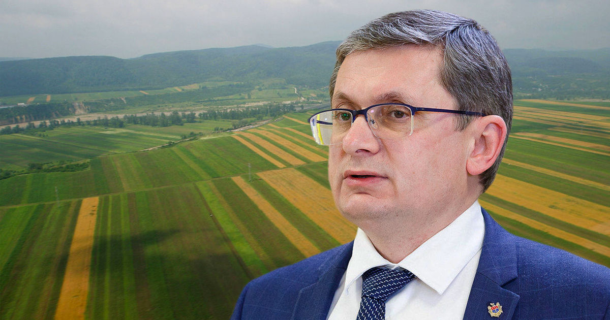 Гросу о том, что землю смогут продавать иностранцам: Это ложь. Коллаж: Point.md
