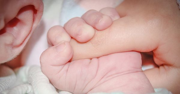 Стоимость коробок для новорожденных включат в единовременное пособие.