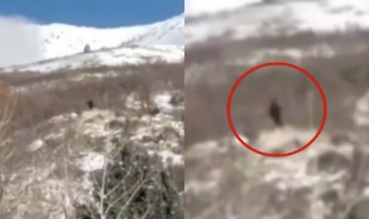 Скалолазы из США запечатлели на видео таинственную фигуру, напоминающую человека.