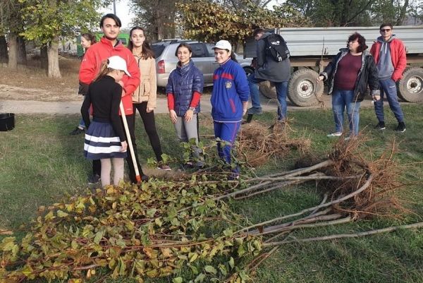 В Комрате высадили 700 деревьев в рамках акции по озеленению города.