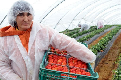 Programul a fost prezentat astăzi de Camera de Comerț și Industrie Moldo-Italiană. Foto: locuridemuncainstrainatate.net