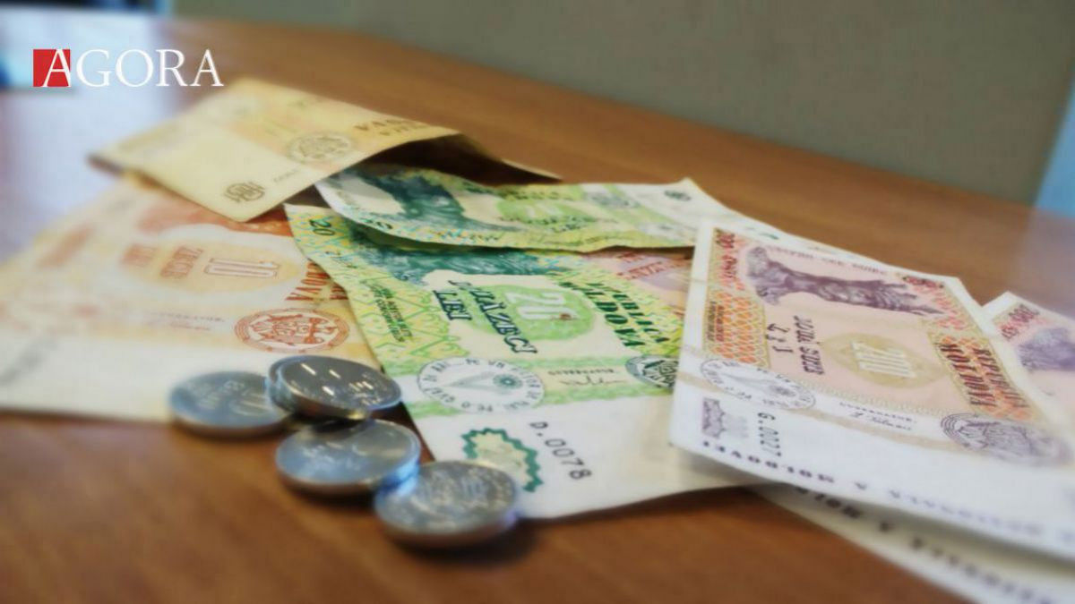 Чебан просит увеличить зарплату соцработникам на 50%: Нужна мотивация.
