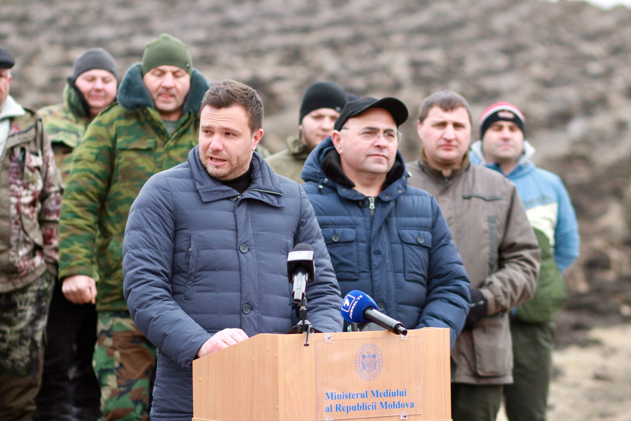 Peste opt milioane de puieți vor fi plantați în campania de împădurire de primăvară.