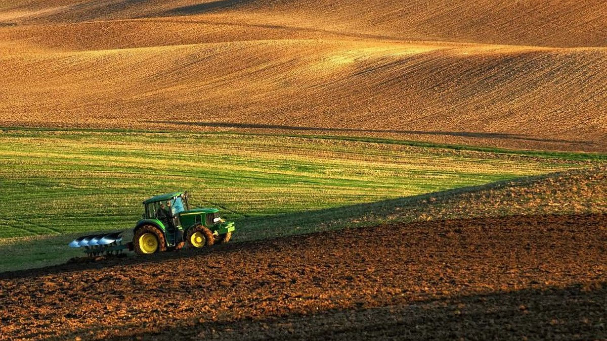 Terenurile necultivate timp de doi ani vor fi preluate de autoritățile locale.