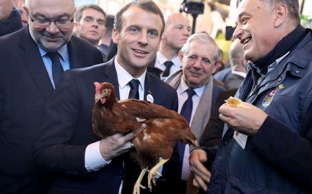 Macron a adoptat o găină. Îi va face ouă proaspete la Președinție