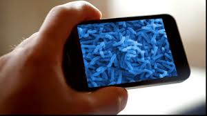 O mare porţiune din ecranul telefoanelor este acoperită în mod constant de microorganisme care, din fericire, nu sunt periculoase pentru corpul uman.