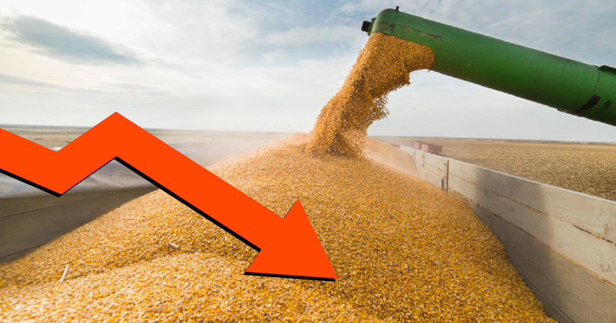 В Молдове цены на сельхозпродукцию в 2023 году снизились в среднем на 17,8%.