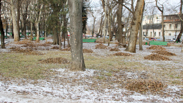 31 октября, метеорологи прогнозируют максимальную температуру +7°C севере страны, +8°C в центре и +9°C на юге.