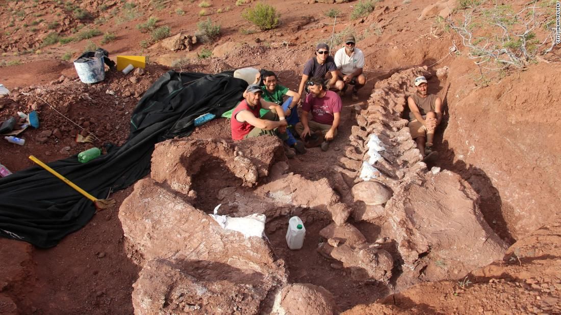В Аргентине нашли окаменелость древнего «ниндзя-титана».