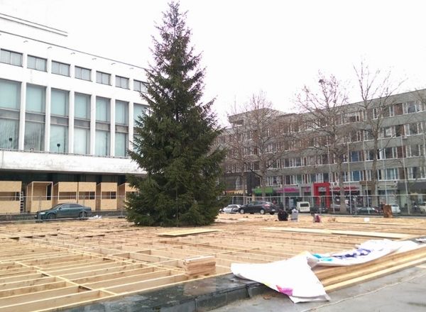 Guvernul și-a adus pomul de Craciun în preajma Palatului Național.