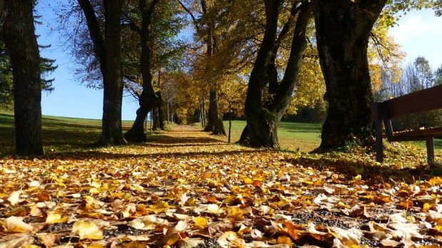 Descoperire șocantă într-un parc din New Mexico. 