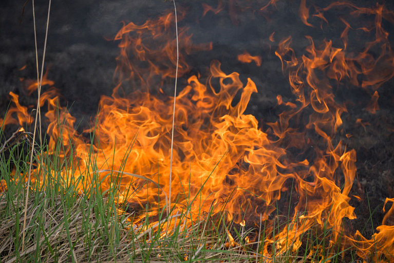 Cod Galben de incendii de vegetație, emis în Moldova.