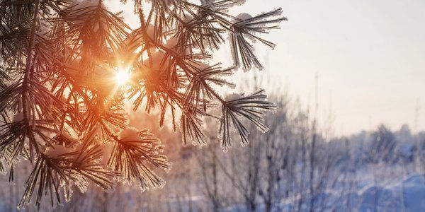 К концу недели в Молдове потеплеет: температура воздуха поднимется до +18 °C.