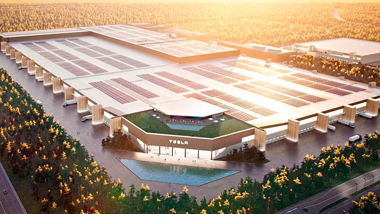 Tesla приостановила строительство завода в Германии из-за змей.