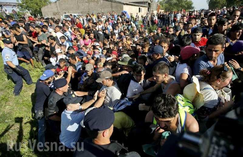 Накануне группа из сотни мигрантов совершила рывок на австрийской границе.
