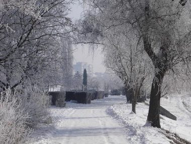  Cei mai mulţi dintre cei răpuşi de frig au fost persoane fără adăpost, de multe ori în stare de ebrietate