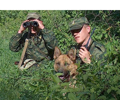В выходные дни трафик людей и транспортных средств на границе Молдовы проходил в нормальном режиме. Фото: border.gov.md