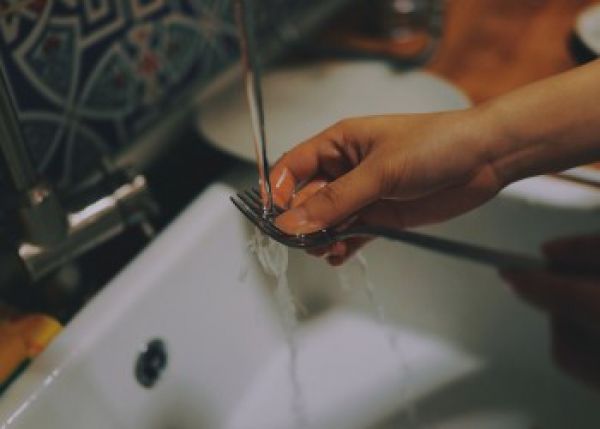 Familiile care isi sala vasele cu mana au si alti factori ai stilului de viata care contribuie la o reducere a riscului de alergie. Foto: pixabay.com