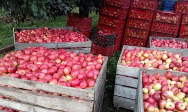 Dosarul ANSA: Acuzați în izolator și arest la domiciliu.