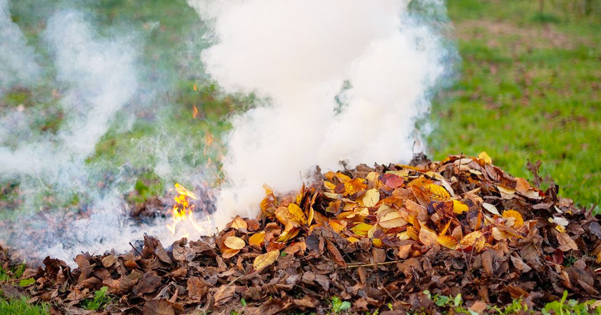Amenzile de ardere a vegetației pentru persoane fizice pot ajunge la 15.000 de lei.