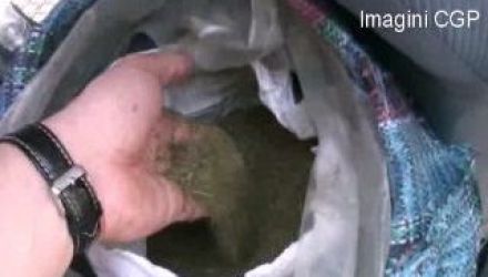 Bărbatul riscă de la 5 până la 17 ani de închisoare.