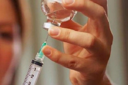 В этом году домашний скот не был вакцинирован от сибирской язвы. 