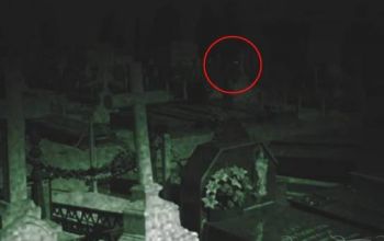 Și-au văzut mai departe de drum și abia atunci când au developat filmul și-au dat seama că ultima poză avea ceva cu totul aparte