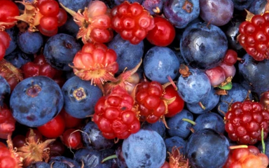 Consumul de alimentele contaminate cu acest virus conduce la îmbolnăvirea ficatului de hepatita A. Virusul incubează între 15 şi 45 de zile.