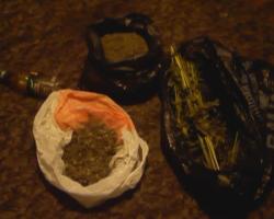 Cultiva plante de cânepă pentru a produce marijuana.