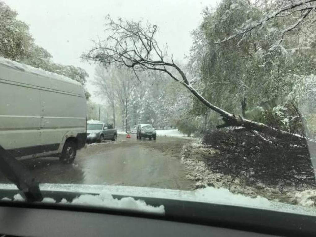 De dimineață până la ora 16:00, poliția a înregistrat 48 de accidente rutiere care au avut loc în mun. Chișinău. 