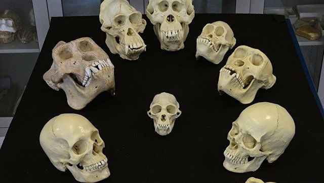 Ученые не нашли ничего необычного в вариациях формы черепа человека.