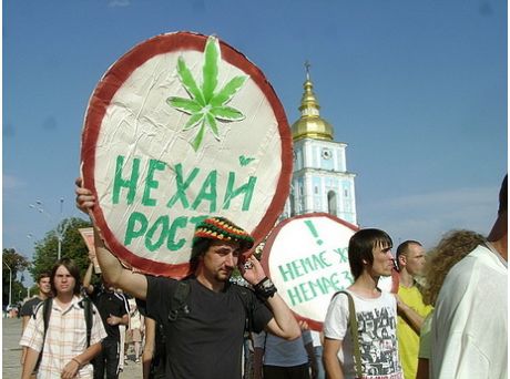 Достаточно много украинцев курят коноплю, имеют разные проблемы с наркотическими препаратами.