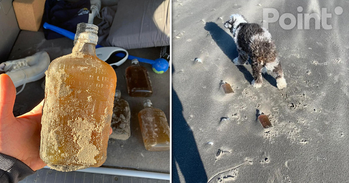 Un bărbat a găsit 11 sticle de whisky de 100 de ani pe o plajă din SUA.