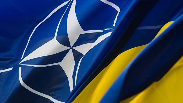 НАТО и ЕС отреагировали на изменение курса Украины.
