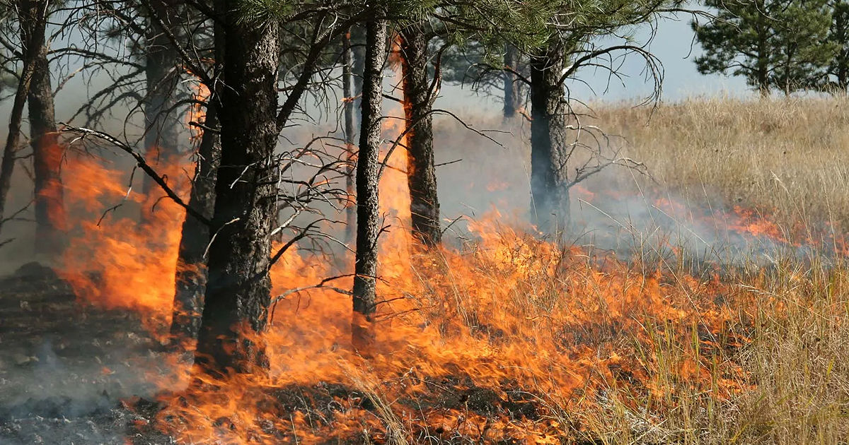 Cod Galben de incendiu: Primăria Chișinău îndeamnă cetățenii să ia măsuri de protecție.