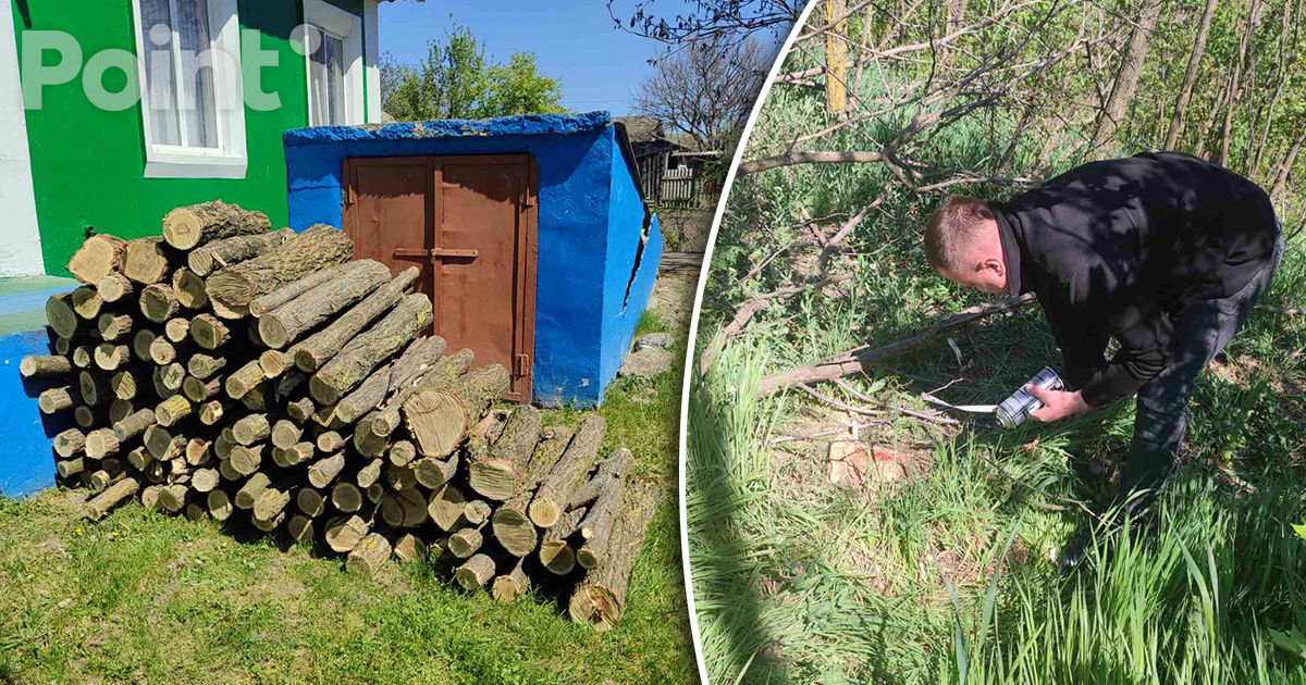 Tăieri ilegale de arbori, depistate într-o pădure din raionul Râșcani.