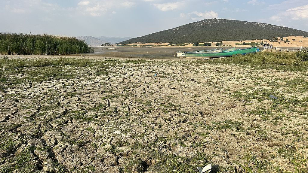 Climatologi: Mai mult de jumătate din Europa, de la Atlantic până la Caucaz, a suferit de secetă.
