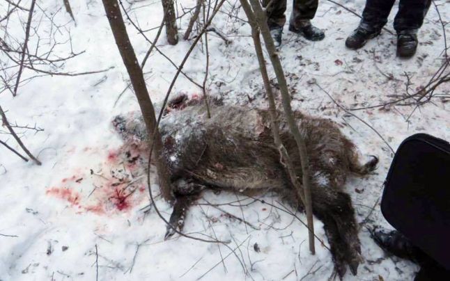 Şase vânători au fost reţinuţi la sfârşitul săptămânii trecute pentru braconaj. Foto: mediu.gov.md  