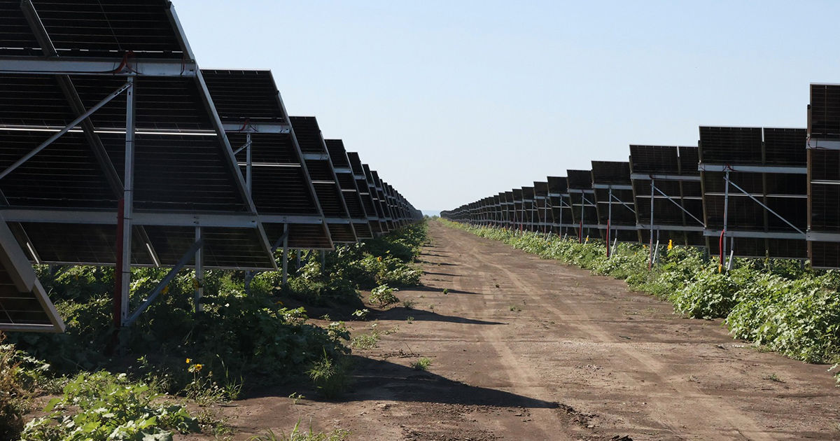 Producătorii de energie regenerabilă cer intervenția statului.