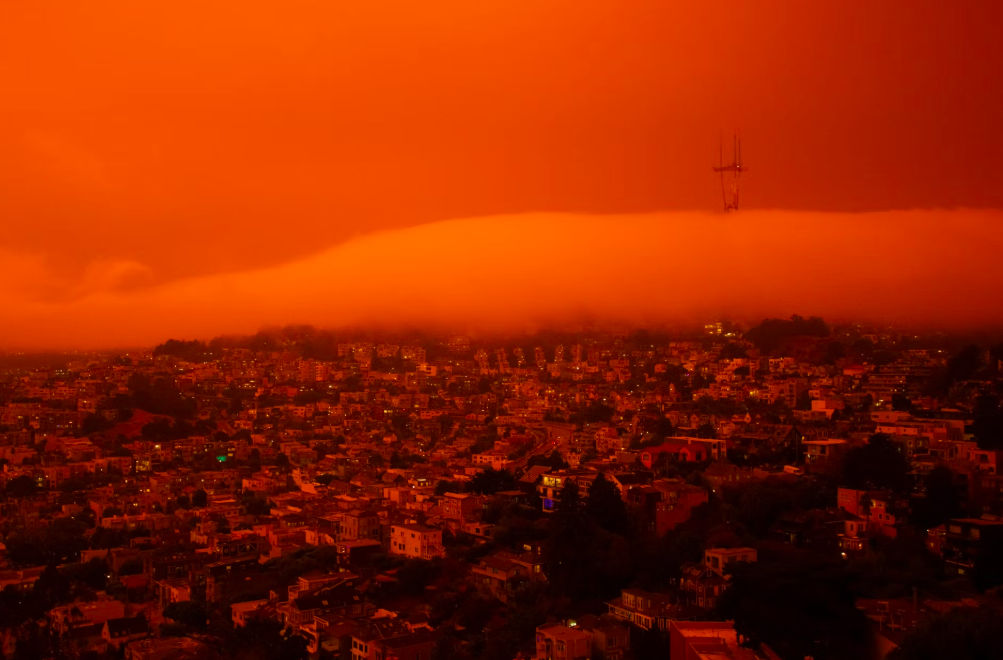 Incendiile forestiere au dus la o creștere record a emisiilor de CO2 în 2024.